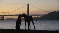 Friends for Life